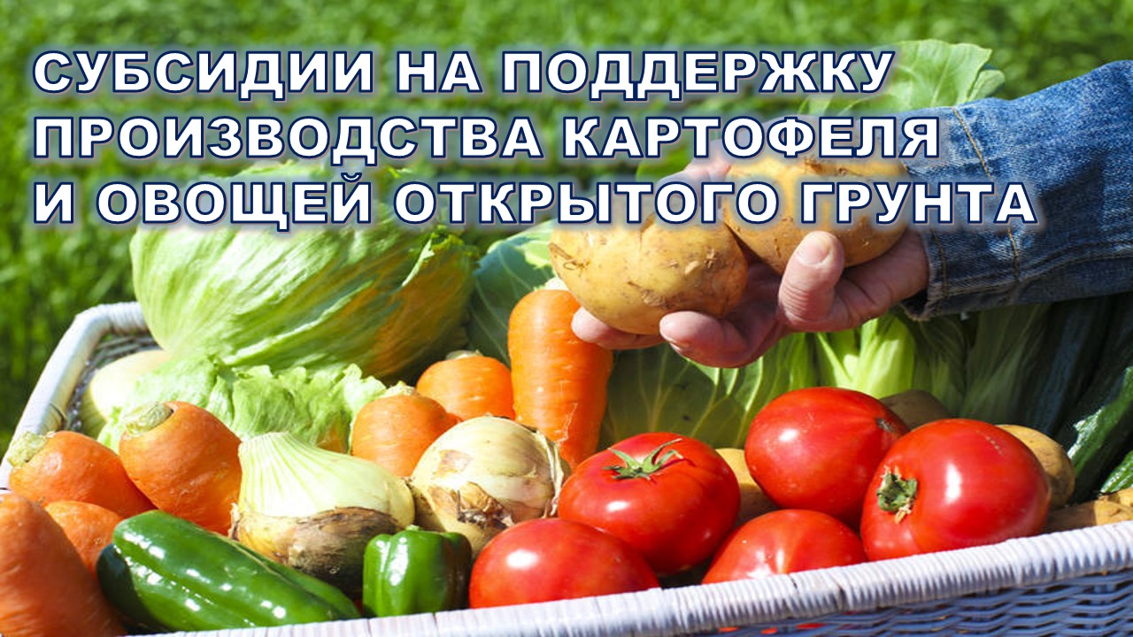 Уважаемые жители пос.Дубки!.