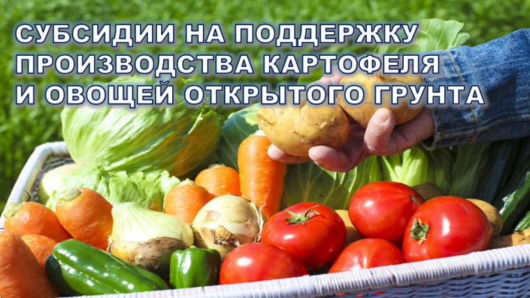Уважаемые жители пос.Дубки!. Уважаемые жители пос.Дубки!.