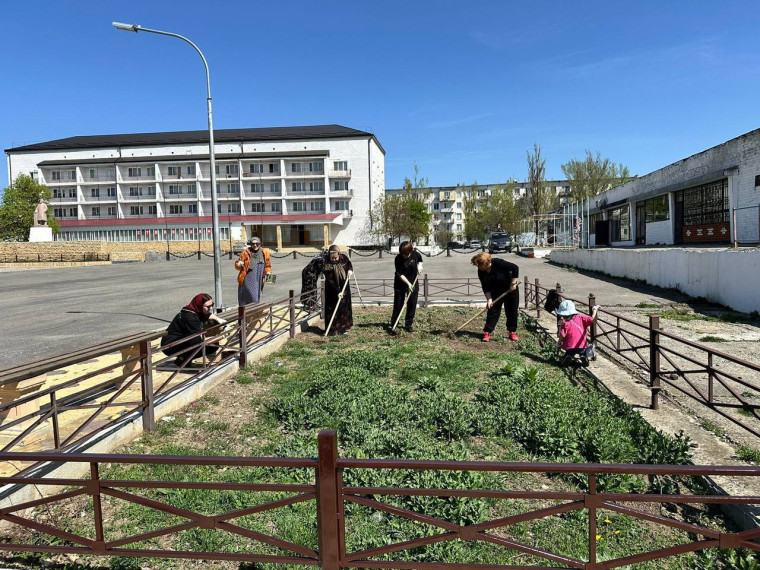 "День чистоты". "День чистоты".